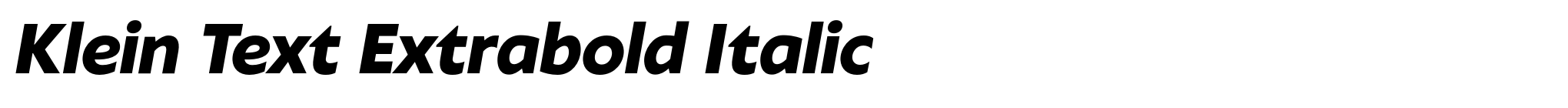 Klein Text Extrabold Italic image